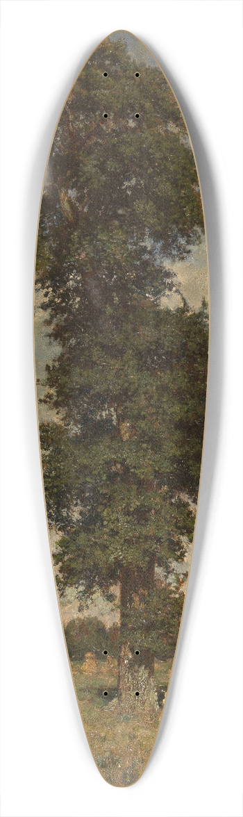 Alfred De Knyff - Landscape 39.3 inch art pintail longboard deck