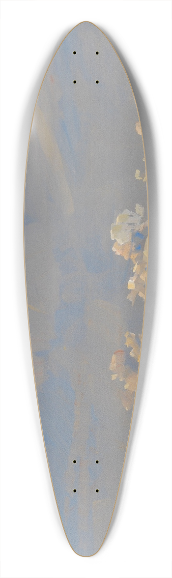 Alfred Haushofer - Chiemsee 39.3 inch art pintail longboard deck