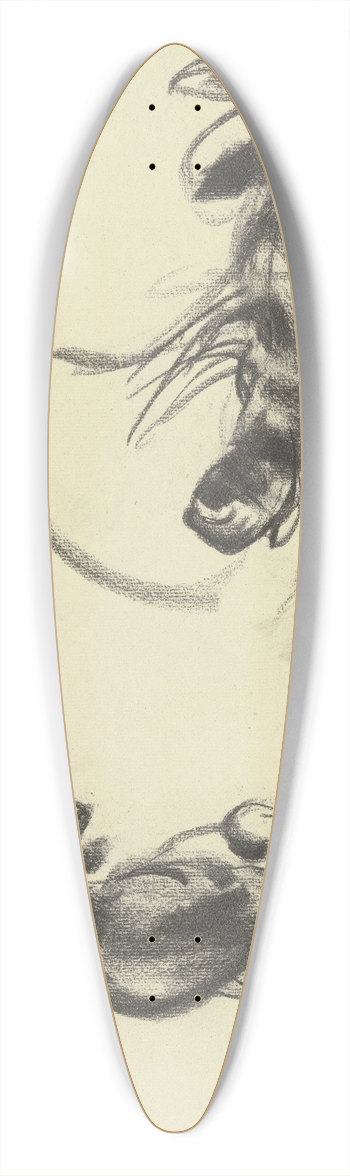 Alfred Schnaars - Cats 39.3 inch art pintail longboard deck