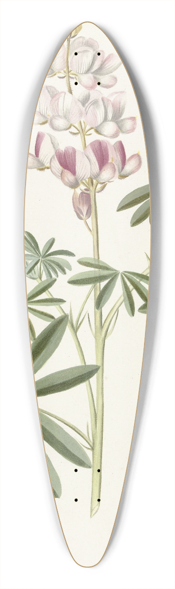 Alida Withoos - Lupine 39.3 inch art pintail longboard deck