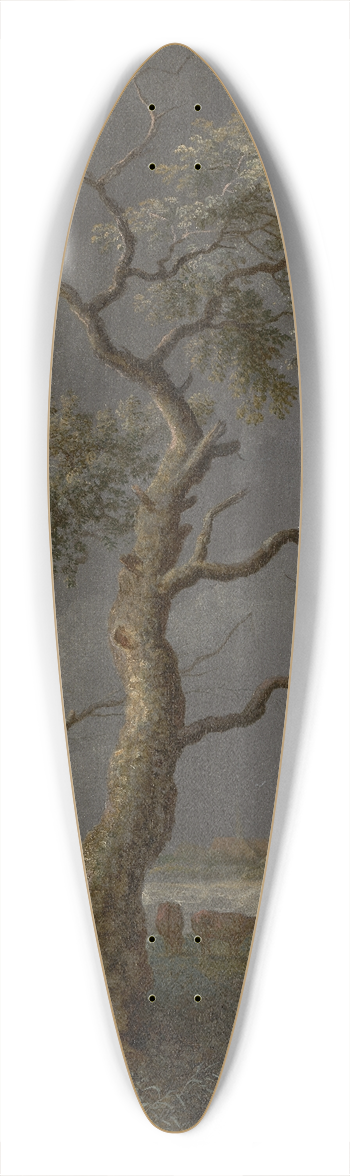 Allaert van Everdingen - Trees by the water 39.3 inch art pintail longboard deck