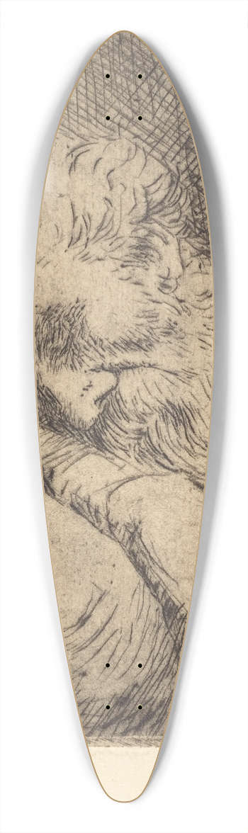 Alphonse Legros - Sleeping Beggar (Mendiant endormi) 39.3 inch art pintail longboard deck