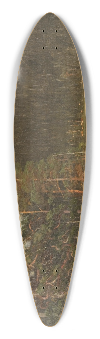 Amaldus Nielsen - Tjern, Levanger 39.3 inch art pintail longboard deck