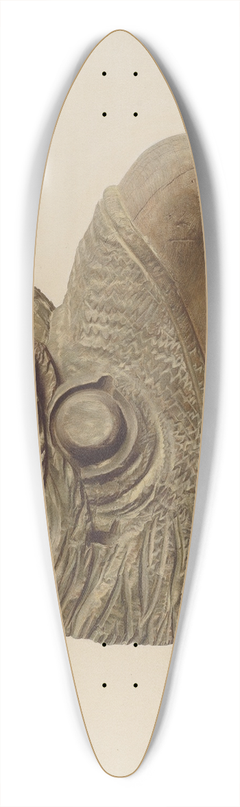 American 20th Century - Eagles Head 39.3 inch art pintail longboard deck