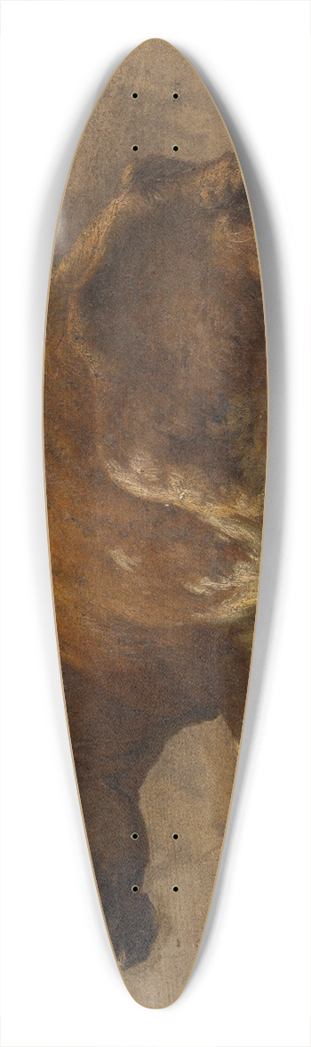 Andre Plumot - Cow 39.3 inch art pintail longboard deck