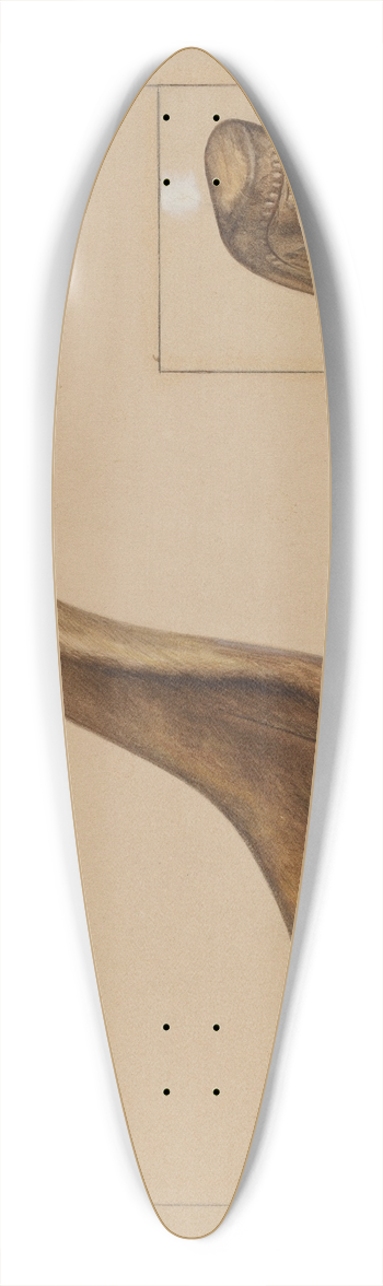 Angelo Bulone - Ladle 39.3 inch art pintail longboard deck