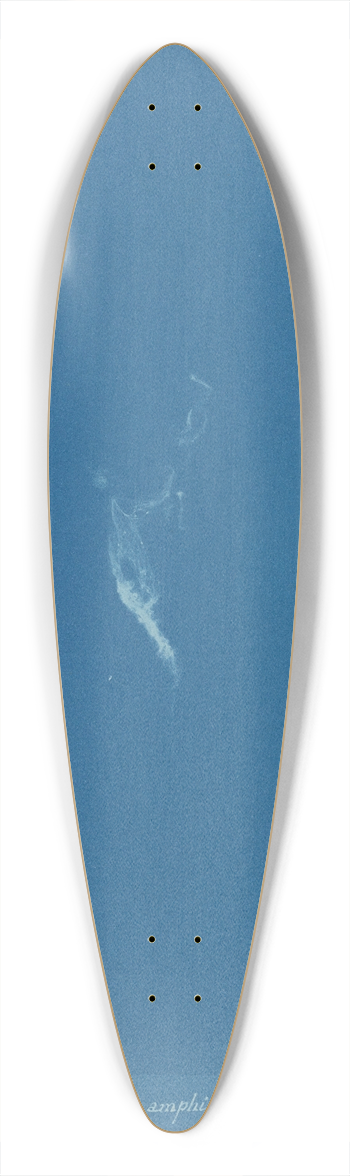 Anna Atkins - Ectocarpus amphibius 39.3 inch art pintail longboard deck