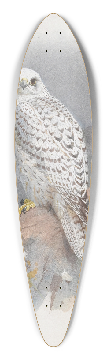 Archibald Thorburn - A Greenland Falcon 39.3 inch art pintail longboard deck