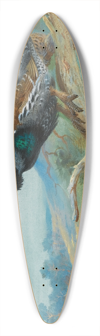 Archibald Thorburn - Capercaillie 39.3 inch art pintail longboard deck