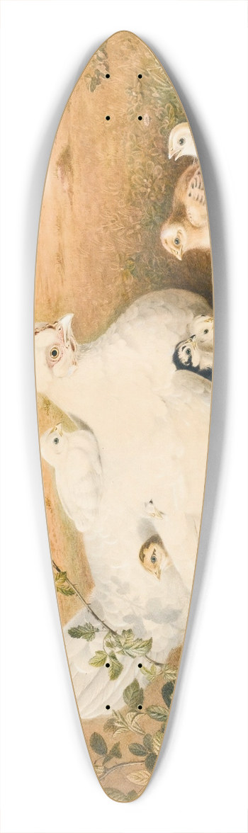 Augusta Innes Withers - A Hen With Her Chicks 39.3 inch art pintail longboard deck