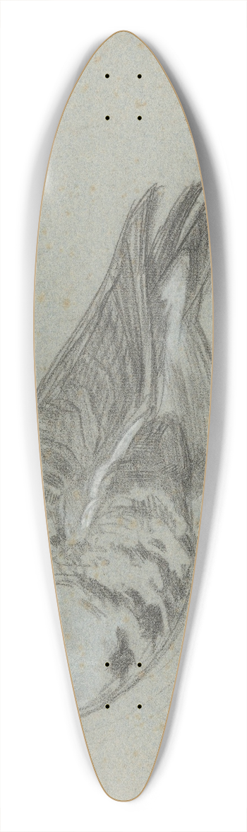 August Alleb - Schets van een opgezette eend 39.3 inch art pintail longboard deck