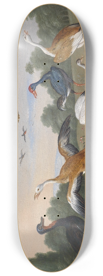 Jan Van Kessel The Elder - Reiher und Enten 8.25 inch art skate deck