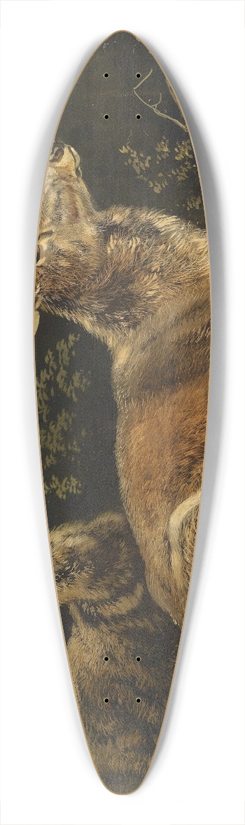 August Schleich - Rotwild 39.3 inch art pintail longboard deck