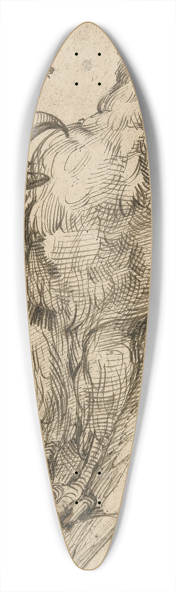 Bartolomeo Passarotti - Study of an eagle 39.3 inch art pintail longboard deck