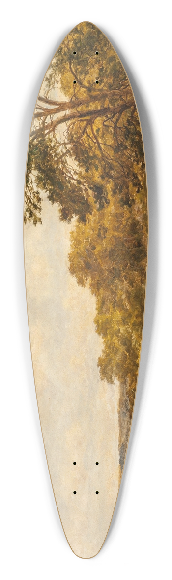 Benjamin Williams Leader - A reedy pool 39.3 inch art pintail longboard deck