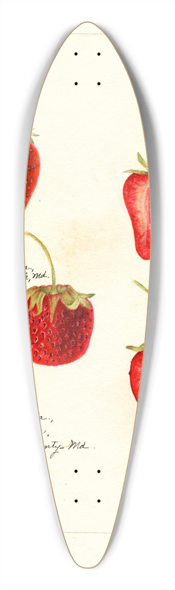 Bertha Heiges - Fragaria 39.3 inch art pintail longboard deck