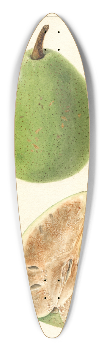 Bertha Heiges - Pyrus communis: Le Conte 39.3 inch art pintail longboard deck