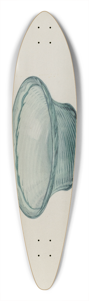 Beverly Chichester - Ribbed Glass Bowl 39.3 inch art pintail longboard deck