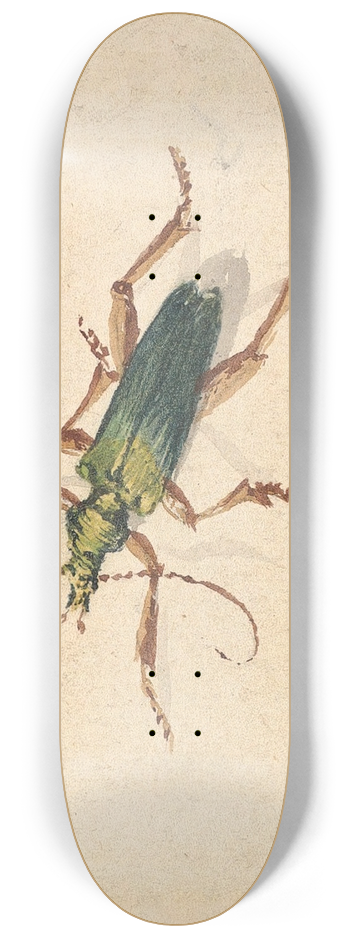 Jan Vincentsz van der Vinne - Green Beetle with Brown Legs 8.25 inch art skate deck