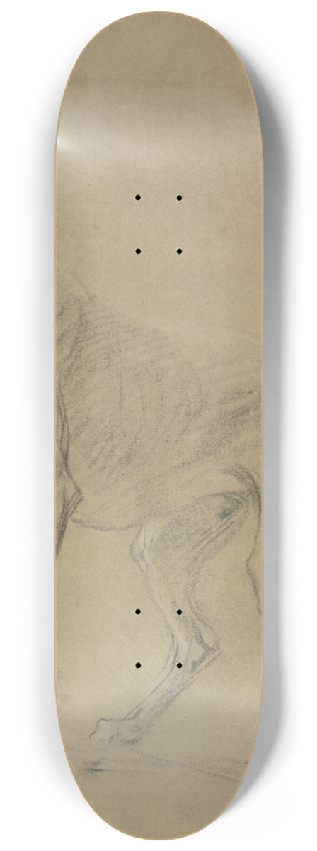 Jan Weenix - Greyhound to the left 8.25 inch art skate deck