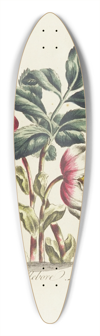 Carington Bowles - Hellebore 39.3 inch art pintail longboard deck