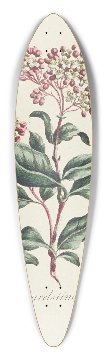 Carington Bowles - Laurelstina 39.3 inch art pintail longboard deck