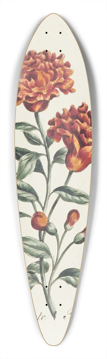 Carington Bowles - Pomegranate blossom 39.3 inch art pintail longboard deck