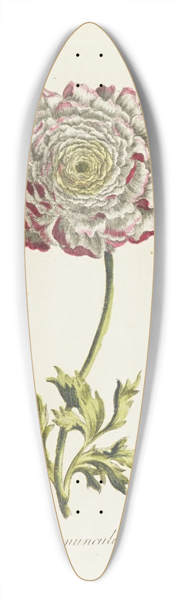 Carington Bowles - Ranuncula 39.3 inch art pintail longboard deck