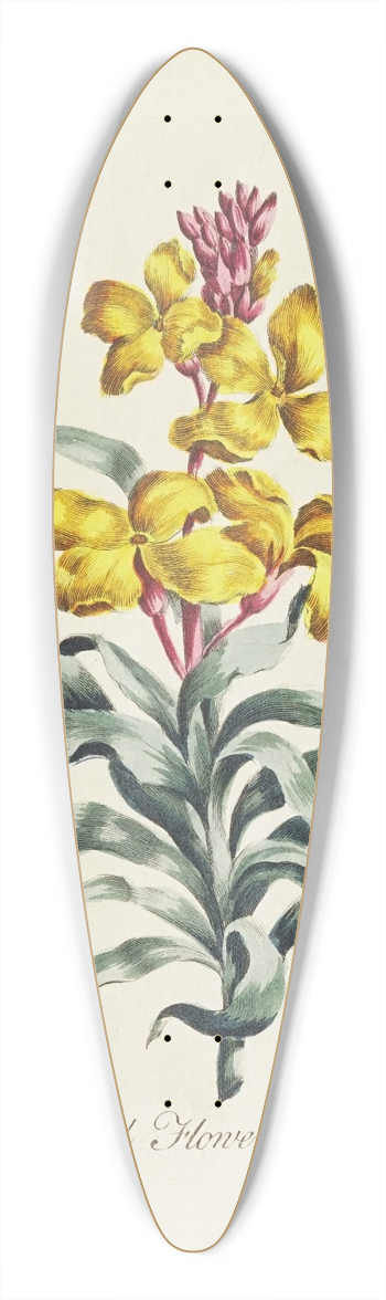 Carington Bowles - Wall Flower 39.3 inch art pintail longboard deck
