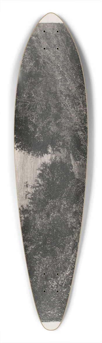 Carl Bloch - A moonlit summer evening 39.3 inch art pintail longboard deck