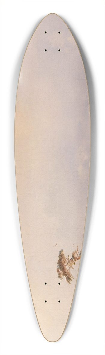 Carl Hilgers - Eisvergngen 39.3 inch art pintail longboard deck
