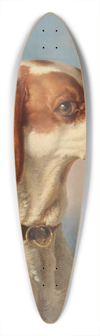 Carl Pischinger - Ein Foxl 39.3 inch art pintail longboard deck