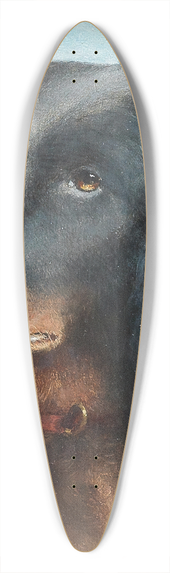 Carl Reichert - A Questioning Look 39.3 inch art pintail longboard deck