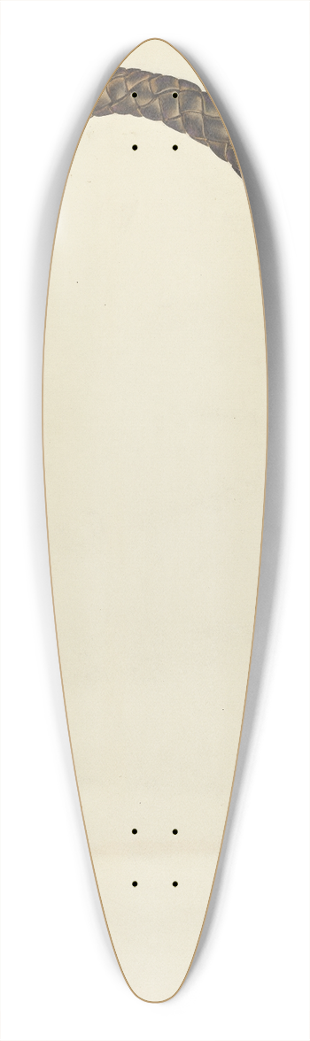 Cecil Smith - Rawhide Quirt 39.3 inch art pintail longboard deck