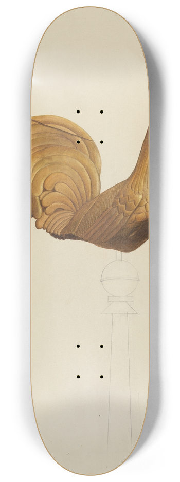 Alton K. Skillin - Weather Vane 8.25 inch art skate deck