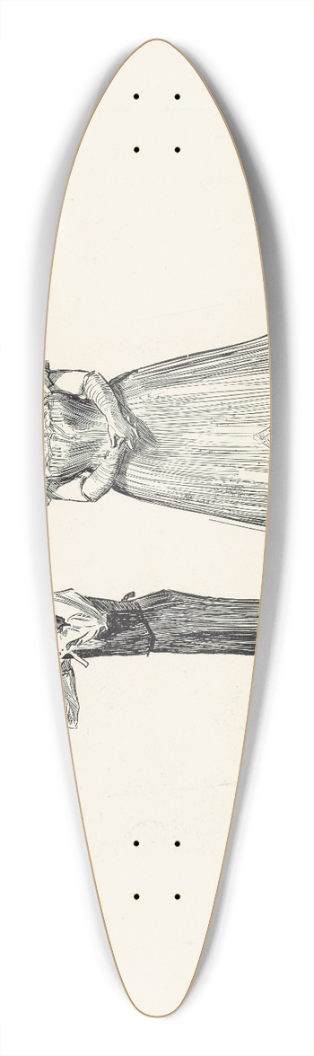 Charles Dana Gibson - He doubted it 39.3 inch art pintail longboard deck