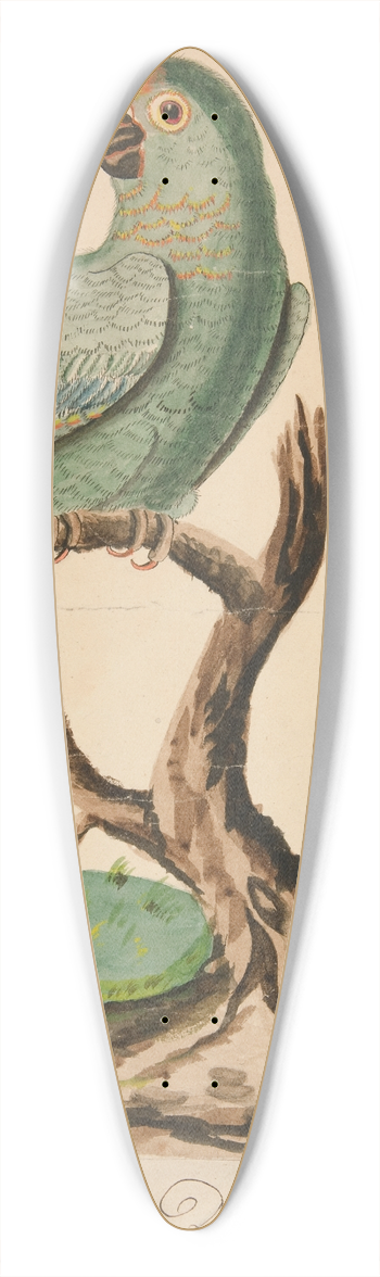Charles Demuth - Two Parrots on a BarrenTree 39.3 inch art pintail longboard deck