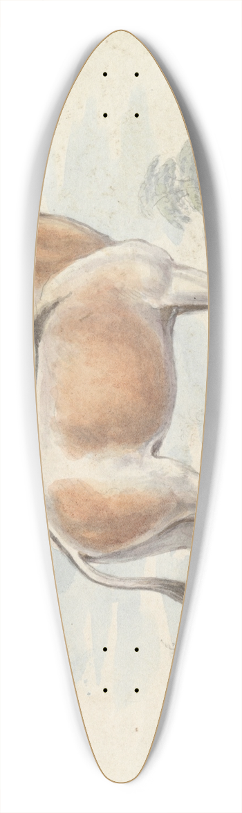 Charles Hamilton Smith - Asinus Onager Horse 39.3 inch art pintail longboard deck