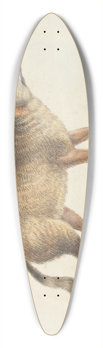 Charles Hamilton Smith - Dun-Footed Aguara-Dog 39.3 inch art pintail longboard deck