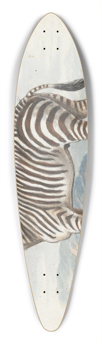 Charles Hamilton Smith - The Zebra 39.3 inch art pintail longboard deck