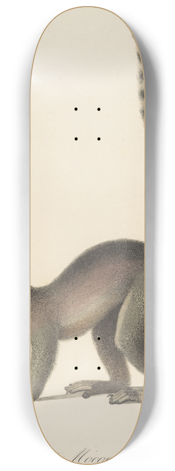 Jean-Baptiste Audebert - Le Mococo 8.25 inch art skate deck