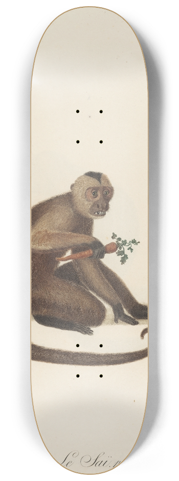 Jean-Baptiste Audebert - Le Sai 8.25 inch art skate deck