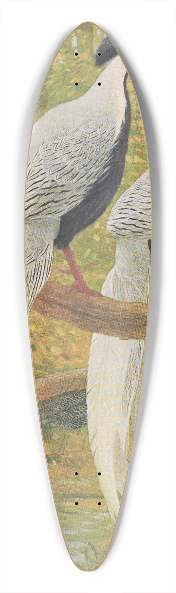 Charles Robert Knight - Chinese Silver Kaleege 39.3 inch art pintail longboard deck