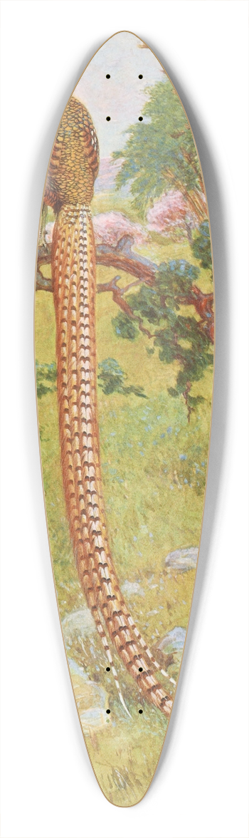 Charles Robert Knight - Reevess Pheasant 39.3 inch art pintail longboard deck