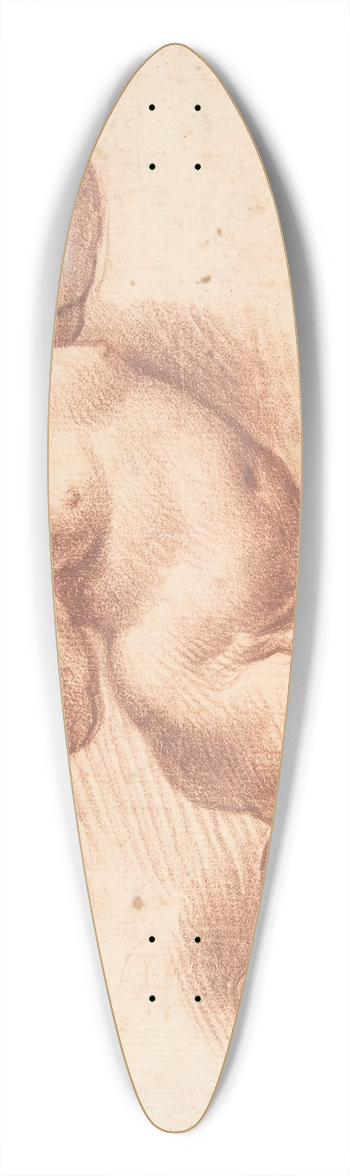 Ciro Ferri - Flying Putto 39.3 inch art pintail longboard deck