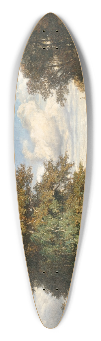 Constant Troyon - The Marsh 39.3 inch art pintail longboard deck