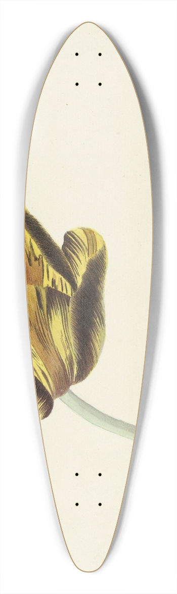 Cornelis van Noorde - Tulp genaamd Bizard Phoenix 39.3 inch art pintail longboard deck