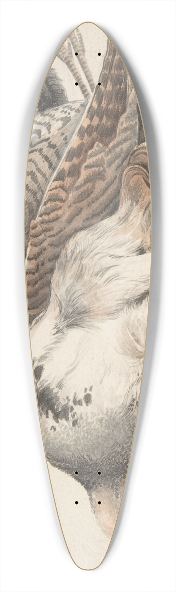 Count Giorgio Durante - Dead Birds 39.3 inch art pintail longboard deck