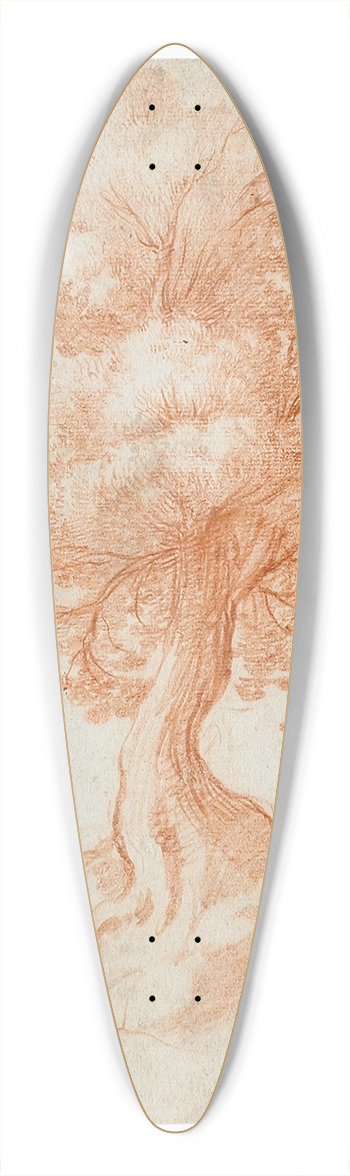 Cristofano Allori - Study of a Tree 39.3 inch art pintail longboard deck