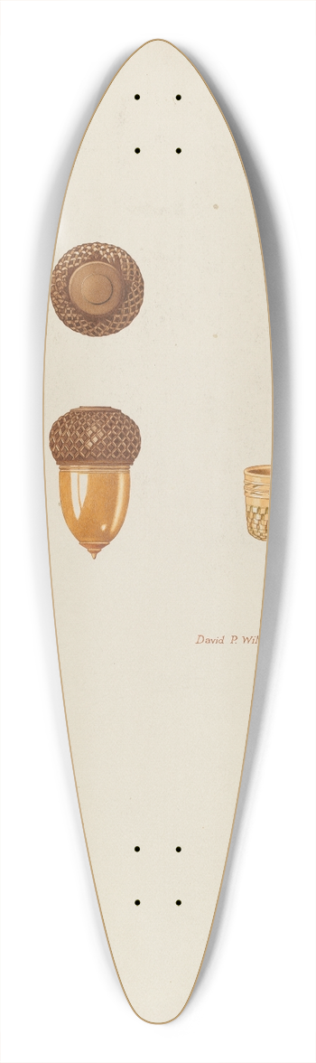 David P Willoughby - Thimble Case 39.3 inch art pintail longboard deck